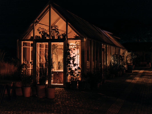 Belysning i moderne hage